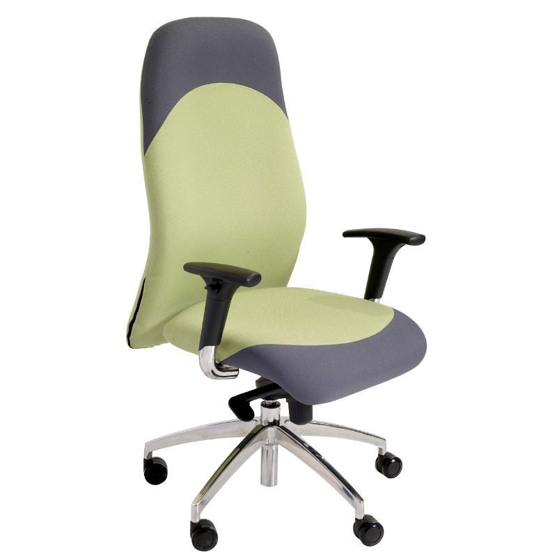 Task Chair Richmond Executive Task Chair